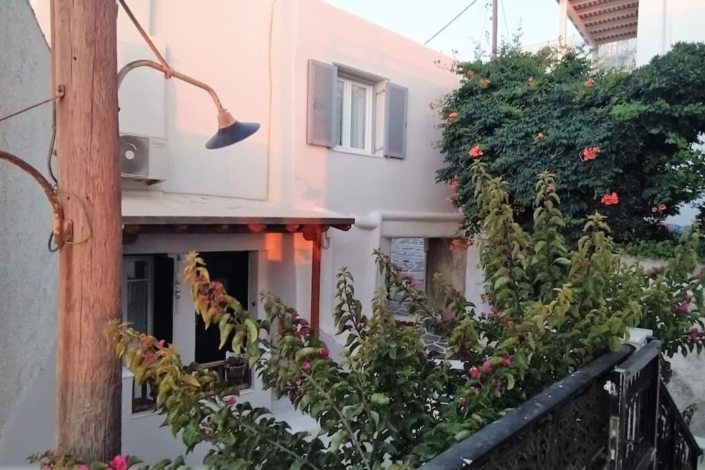 Willa Naxion Esti - Διαμονή Στην Παλιά Χώρα Της Νάξου Naxos City Zewnętrze zdjęcie