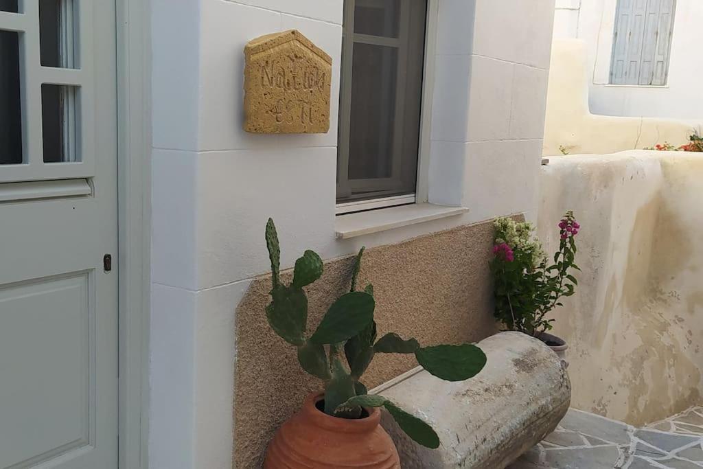 Willa Naxion Esti - Διαμονή Στην Παλιά Χώρα Της Νάξου Naxos City Zewnętrze zdjęcie